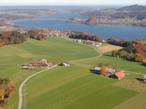  Baby- und Kinderhof Aicherbauer  Зеехам